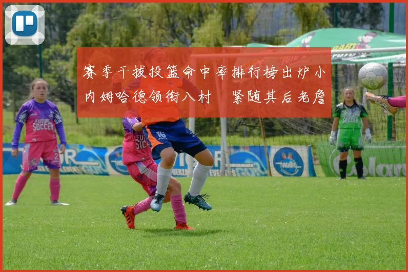 赛季干拔投篮命中率排行榜出炉小内姆哈德领衔八村塁紧随其后老詹稳居前列