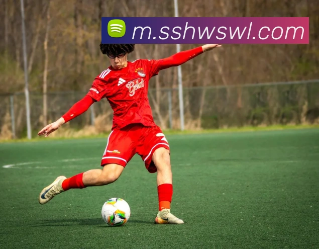 爱游戏ayx官网发展历程